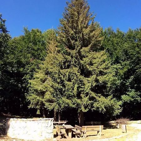Campeggio Il Ceppo Campsite *